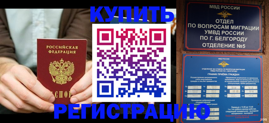 прописка 2025 в Звенигороде